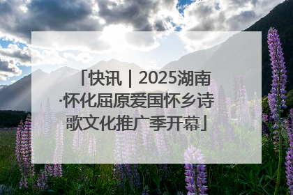 快讯｜2025湖南·怀化屈原爱国怀乡诗歌文化推广季开幕