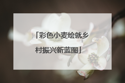 彩色小麦绘就乡村振兴新蓝图