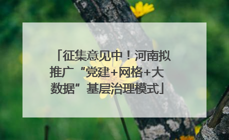 征集意见中！河南拟推广“党建+网格+大数据”基层治理模式