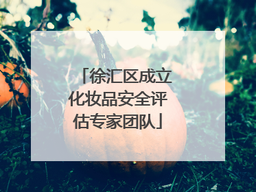 徐汇区成立化妆品安全评估专家团队