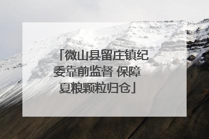 微山县留庄镇纪委靠前监督 保障夏粮颗粒归仓