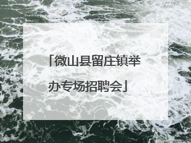微山县留庄镇举办专场招聘会