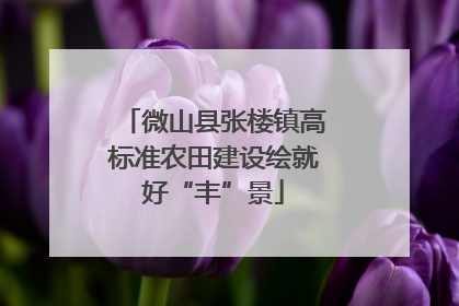 微山县张楼镇高标准农田建设绘就好“丰”景