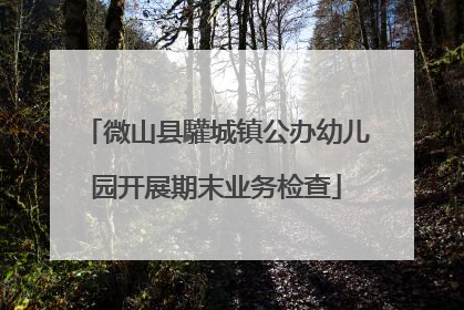 微山县驩城镇公办幼儿园开展期末业务检查