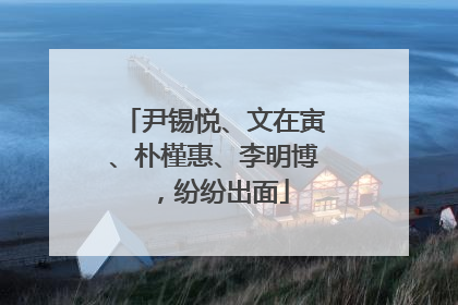 尹锡悦、文在寅、朴槿惠、李明博，纷纷出面