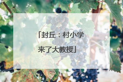 封丘：村小学来了大教授