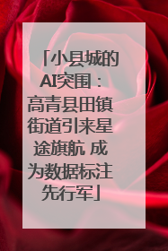 小县城的AI突围：高青县田镇街道引来星途旗航 成为数据标注先行军