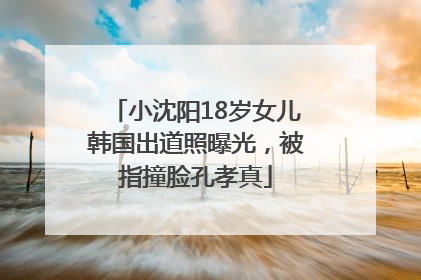 小沈阳18岁女儿韩国出道照曝光，被指撞脸孔孝真
