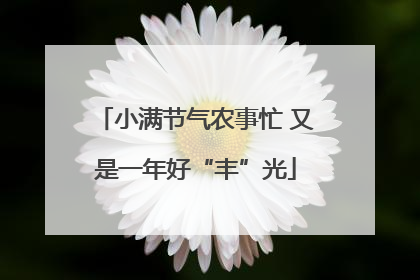 小满节气农事忙 又是一年好“丰”光