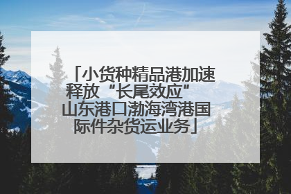 小货种精品港加速释放“长尾效应” 山东港口渤海湾港国际件杂货运业务