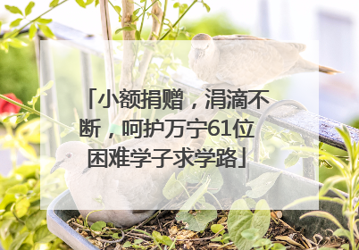 小额捐赠，涓滴不断，呵护万宁61位困难学子求学路