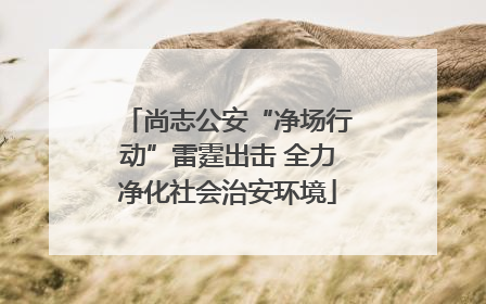 尚志公安“净场行动”雷霆出击 全力净化社会治安环境