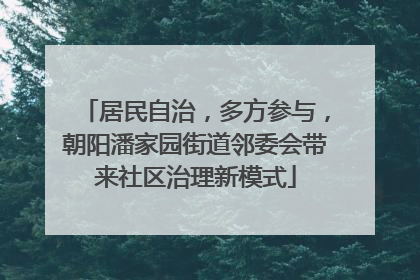 居民自治，多方参与，朝阳潘家园街道邻委会带来社区治理新模式