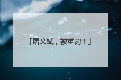 屠文斌，被重罚！