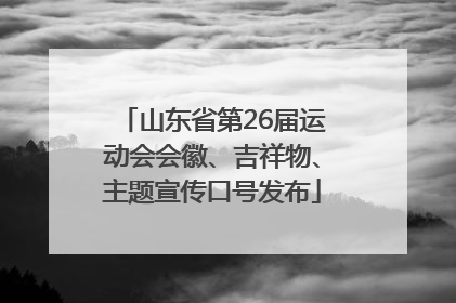 山东省第26届运动会会徽、吉祥物、主题宣传口号发布