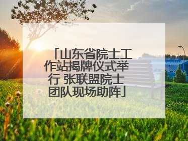 山东省院士工作站揭牌仪式举行 张联盟院士团队现场助阵
