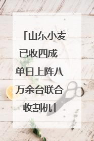 山东小麦已收四成 单日上阵八万余台联合收割机