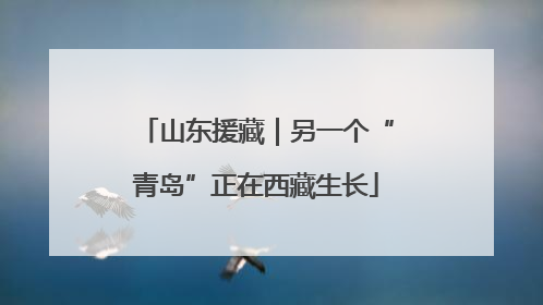 山东援藏｜另一个“青岛”正在西藏生长