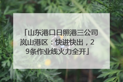 山东港口日照港三公司岚山港区：快进快出，29条作业线火力全开