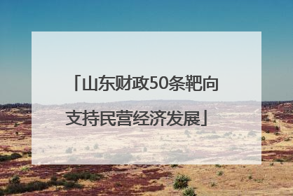 山东财政50条靶向支持民营经济发展