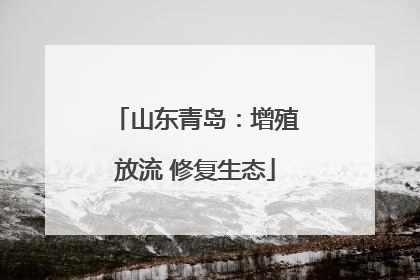 山东青岛：增殖放流 修复生态