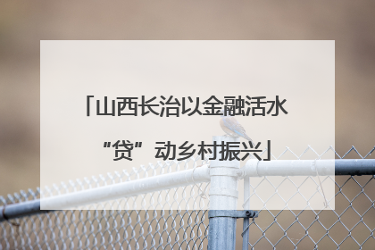 山西长治以金融活水“贷”动乡村振兴