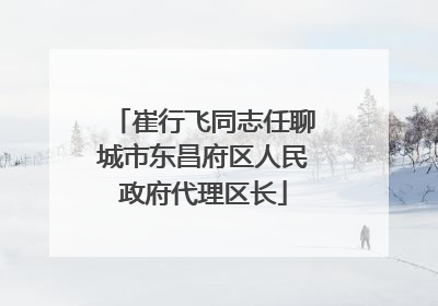 崔行飞同志任聊城市东昌府区人民政府代理区长