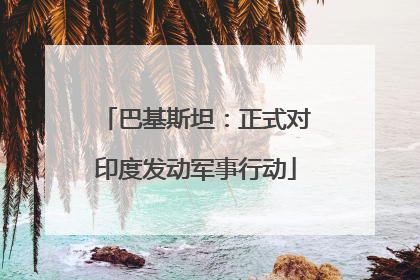 巴基斯坦：正式对印度发动军事行动