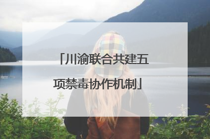 川渝联合共建五项禁毒协作机制