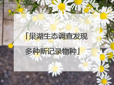 巢湖生态调查发现多种新记录物种