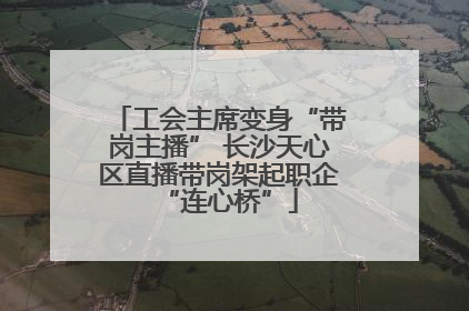 工会主席变身“带岗主播” 长沙天心区直播带岗架起职企“连心桥”