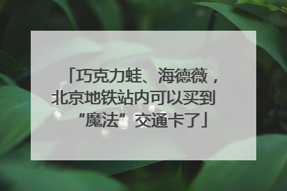 巧克力蛙、海德薇，北京地铁站内可以买到“魔法”交通卡了