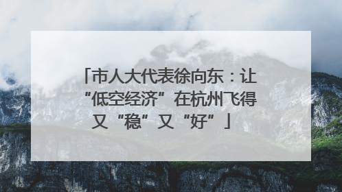 市人大代表徐向东：让“低空经济”在杭州飞得又“稳”又“好”