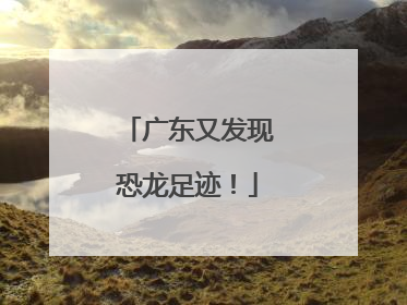 广东又发现恐龙足迹！