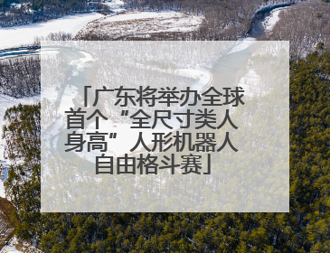 广东将举办全球首个“全尺寸类人身高”人形机器人自由格斗赛