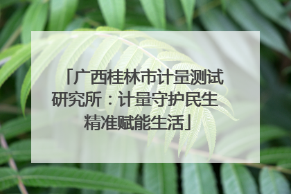 广西桂林市计量测试研究所：计量守护民生 精准赋能生活