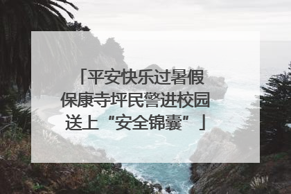 平安快乐过暑假 保康寺坪民警进校园送上“安全锦囊”