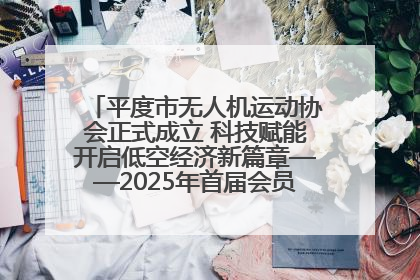 平度市无人机运动协会正式成立 科技赋能开启低空经济新篇章——2025年首届会员大会暨无人机应用发展论坛成功举办