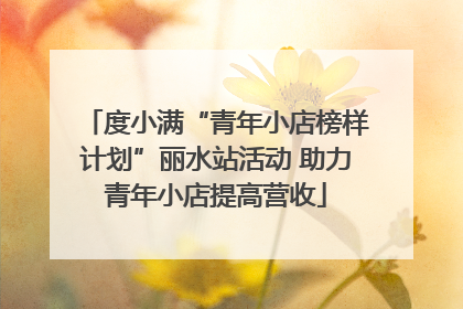 度小满“青年小店榜样计划”丽水站活动 助力青年小店提高营收