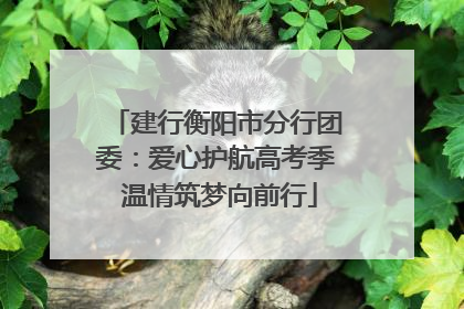 建行衡阳市分行团委：爱心护航高考季 温情筑梦向前行