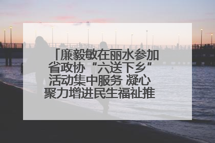 廉毅敏在丽水参加省政协“六送下乡”活动集中服务 凝心聚力增进民生福祉推进共同富裕