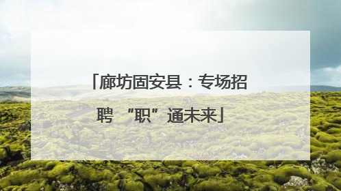 廊坊固安县：专场招聘 “职”通未来