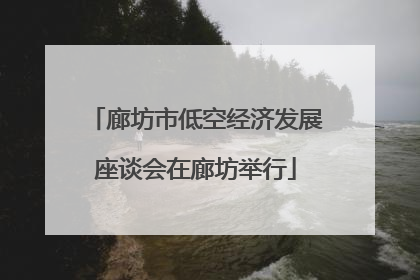 廊坊市低空经济发展座谈会在廊坊举行