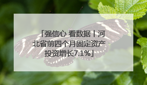强信心 看数据丨河北省前四个月固定资产投资增长7.1%
