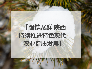 强链聚群 陕西持续推进特色现代农业提质发展