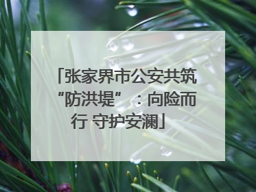张家界市公安共筑“防洪堤”：向险而行 守护安澜