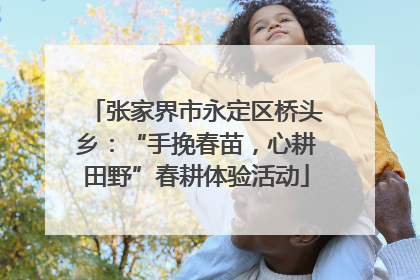 张家界市永定区桥头乡：“手挽春苗，心耕田野”春耕体验活动