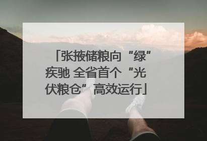 张掖储粮向“绿”疾驰 全省首个“光伏粮仓”高效运行