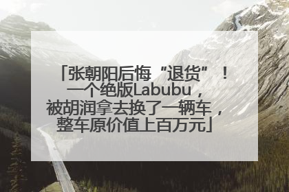张朝阳后悔“退货”！一个绝版Labubu，被胡润拿去换了一辆车，整车原价值上百万元