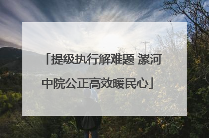 提级执行解难题 漯河中院公正高效暖民心